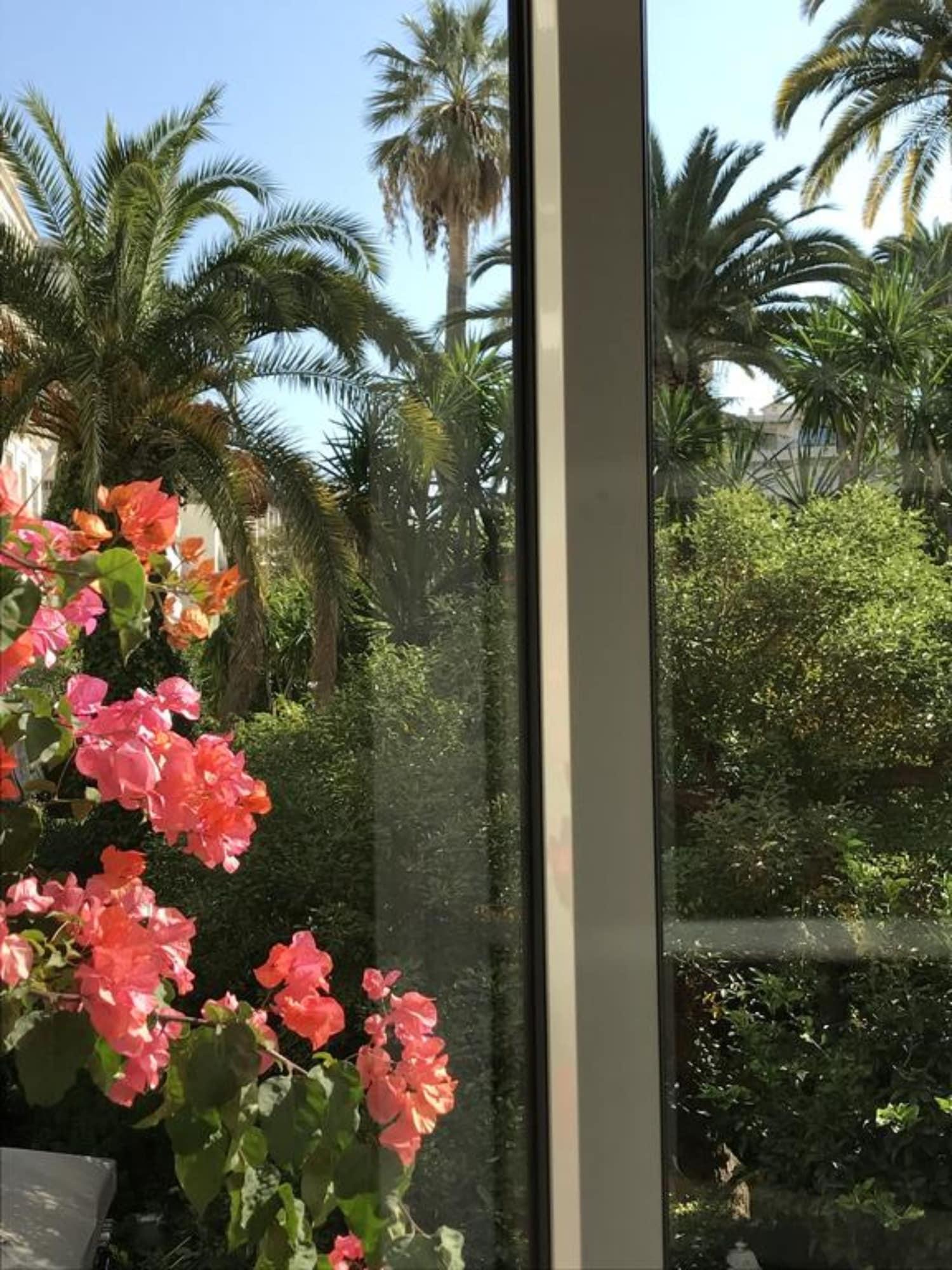 Hotel Le Festival 3*